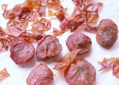 dried fermented plum skins