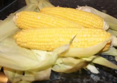 corn husks for tamal masa